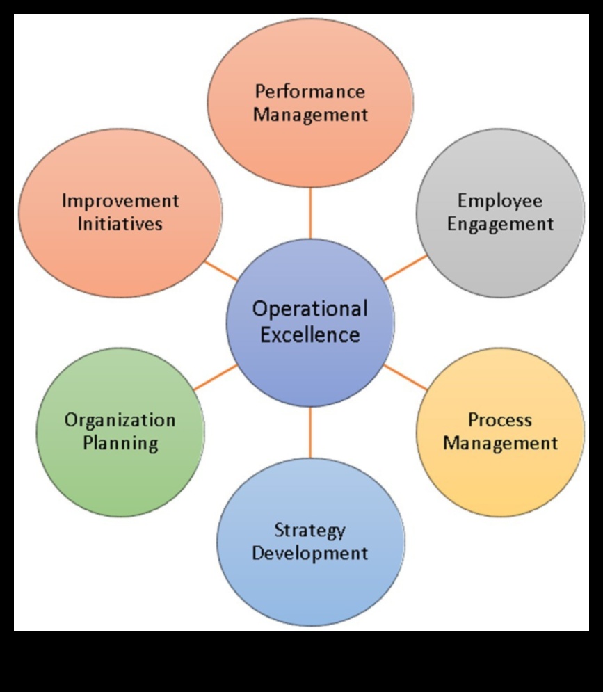 Ietekmes sākums: Stratēģiskās biznesa informācijas izcilības ceļvedis