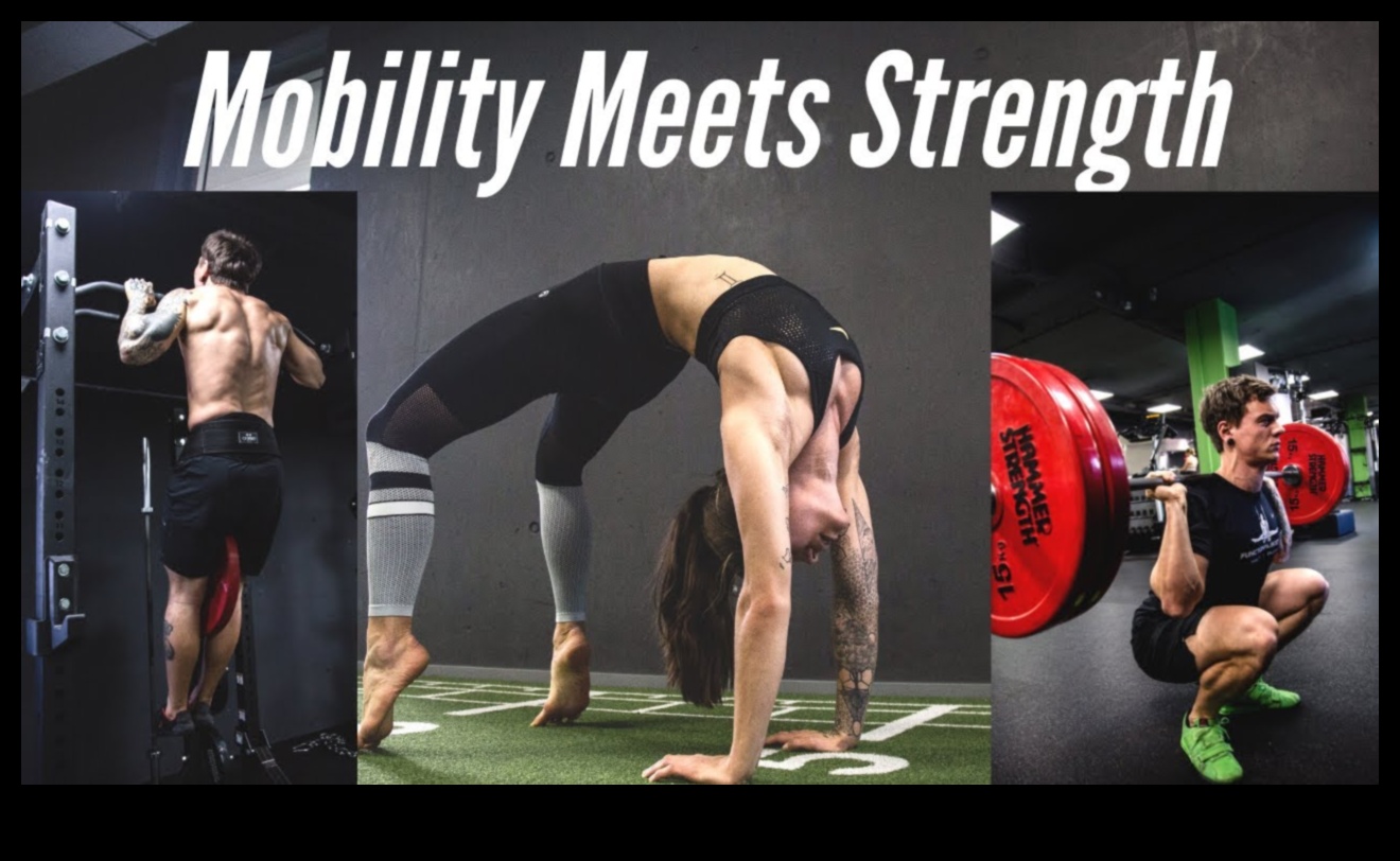 Flex Fusion: māksla apvienot spēku, mobilitāti un graciozitāti