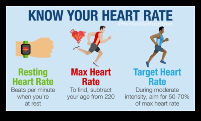 Pieaugums un pulss: sirds un asinsvadu treniņi rīta vitalitātei