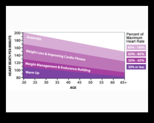 Pieaugums un pulss: sirds un asinsvadu treniņi rīta vitalitātei