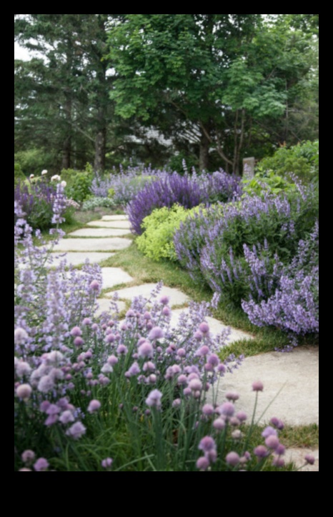 Serenity in Bloom: Garden Design Harmony Defined