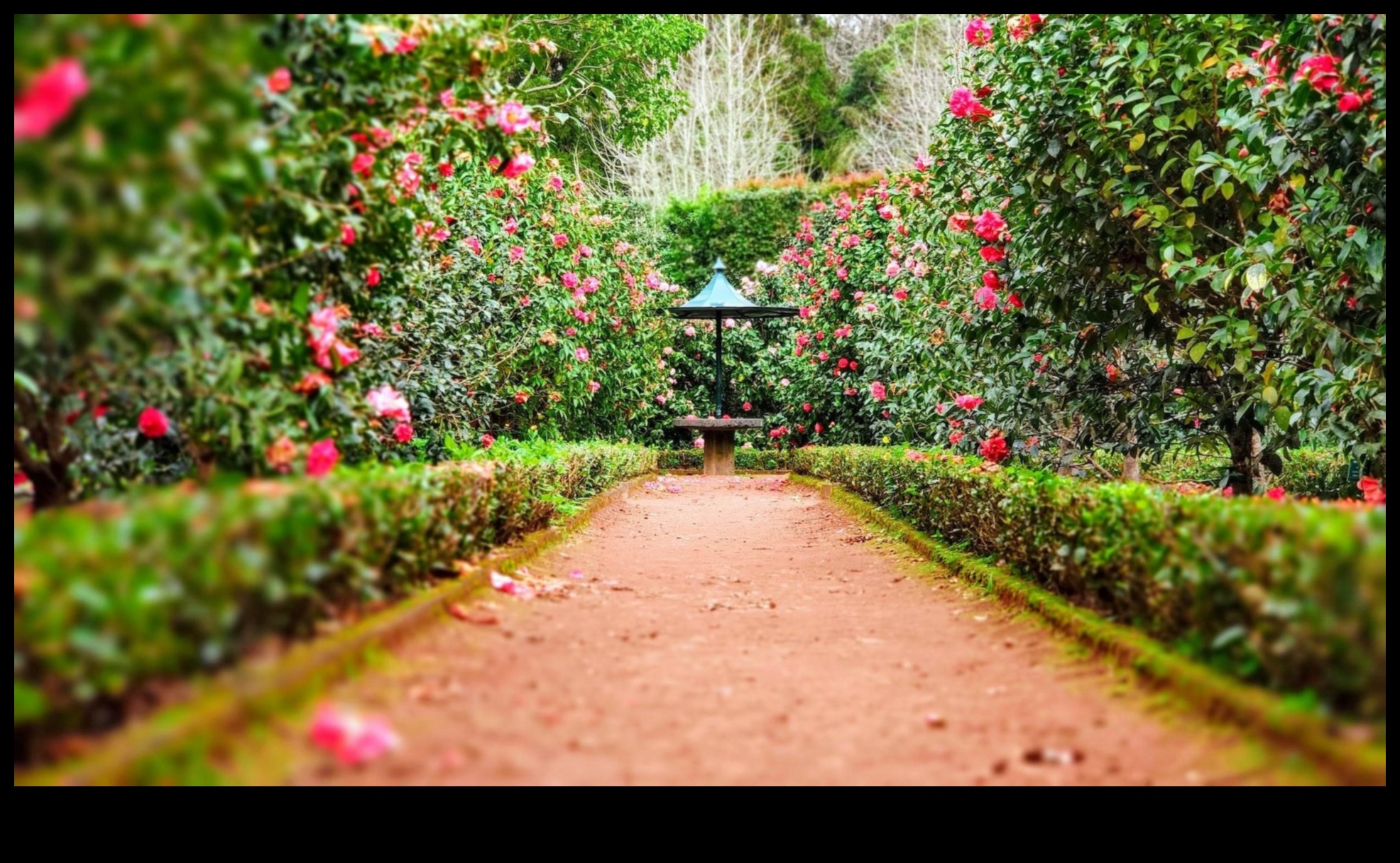 Veidots miers: paceliet savu dārzu ar elegantiem dekoru akcentiem