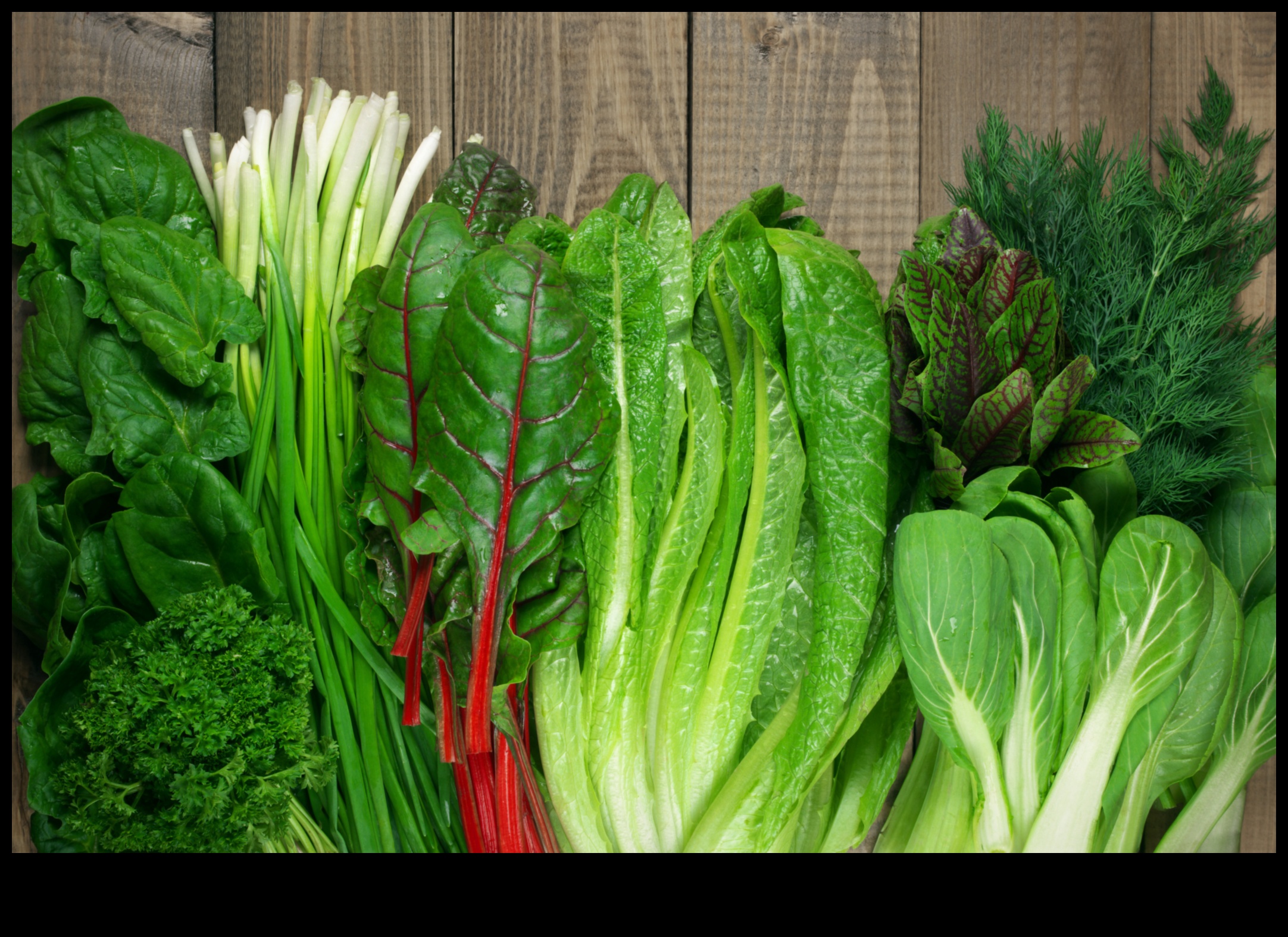 Lapu labums: izpētiet svaigu un košu zaļo maisījumu pasauli