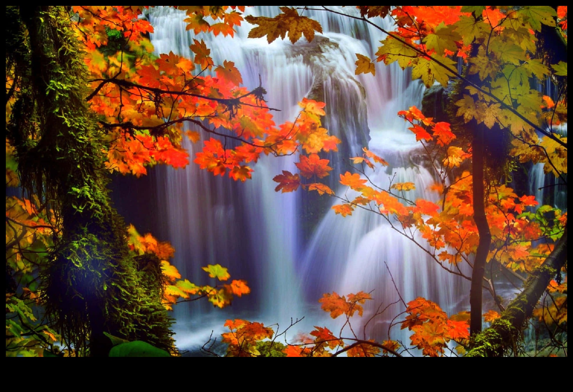 Rudens auras: tveriet rudens siltumu, izmantojot sezonālos fotografēšanas stilus