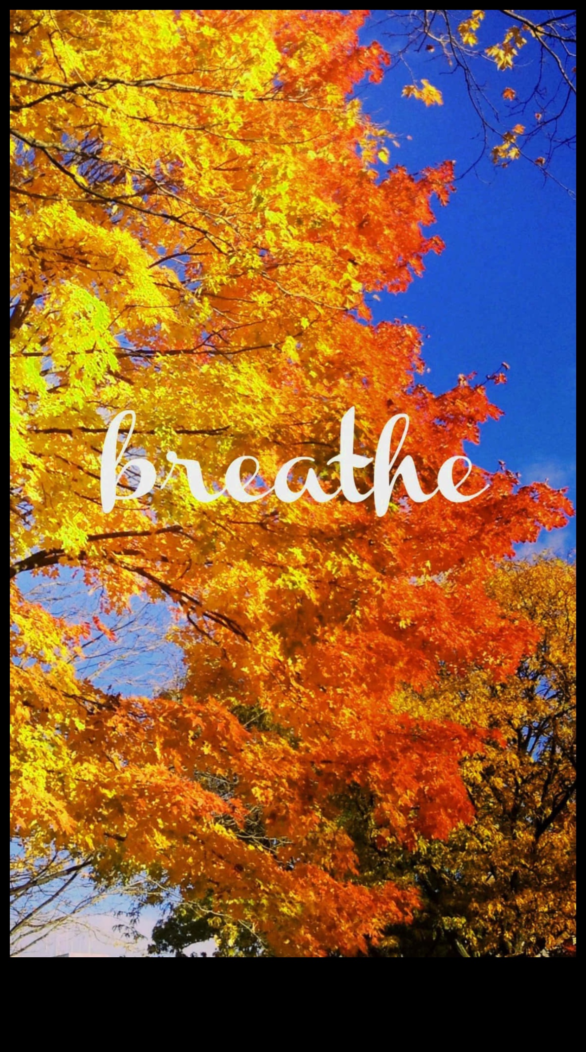 Rudens auras: tveriet rudens siltumu, izmantojot sezonālos fotografēšanas stilus