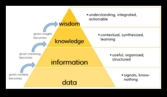 Panākumu evolūcija: atklātas biznesa informācijas stratēģijas