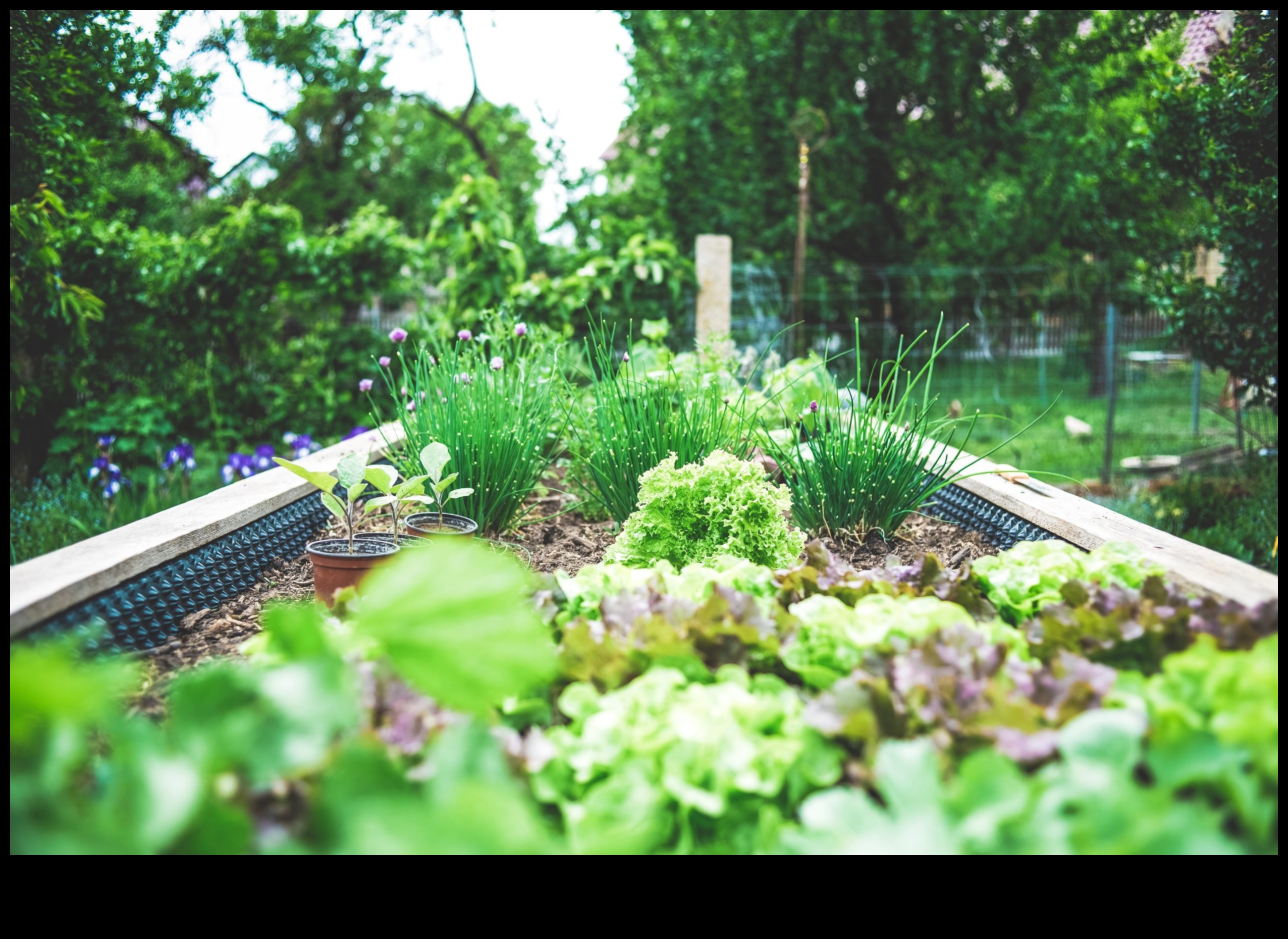 City Bloomers: uzplaukums ar konteineru dārzkopības priekiem