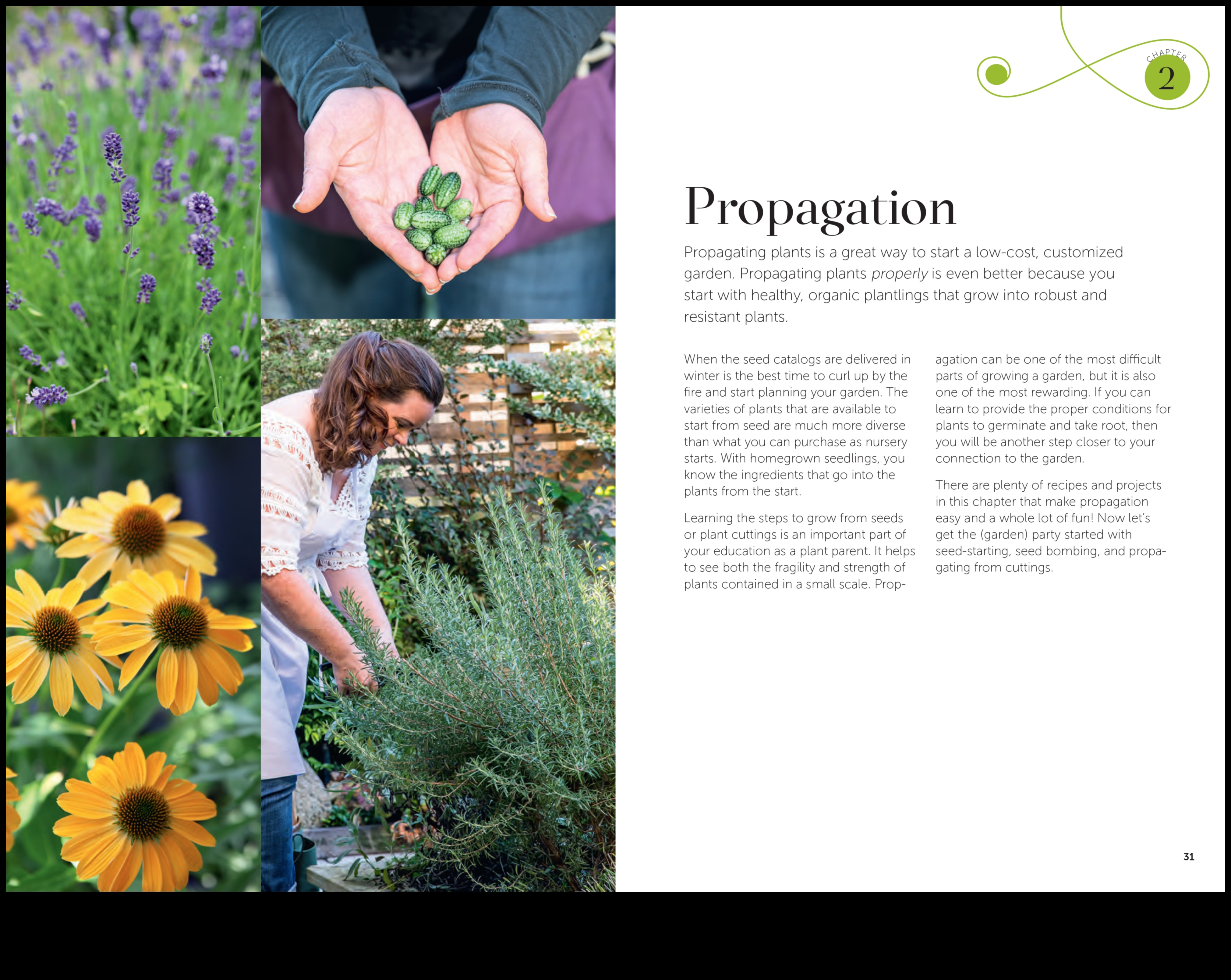 Dārza alķīmija Pārveidojiet savu telpu ar šiem 7 padomiem 3 Dārza alķīmija: pārveidojoši padomi satriecošu rezultātu sasniegšanai