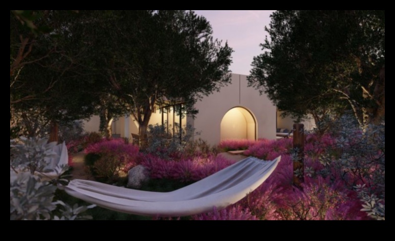 Blossom Brilliance: DIY darbi starojošai dārza paradīzei