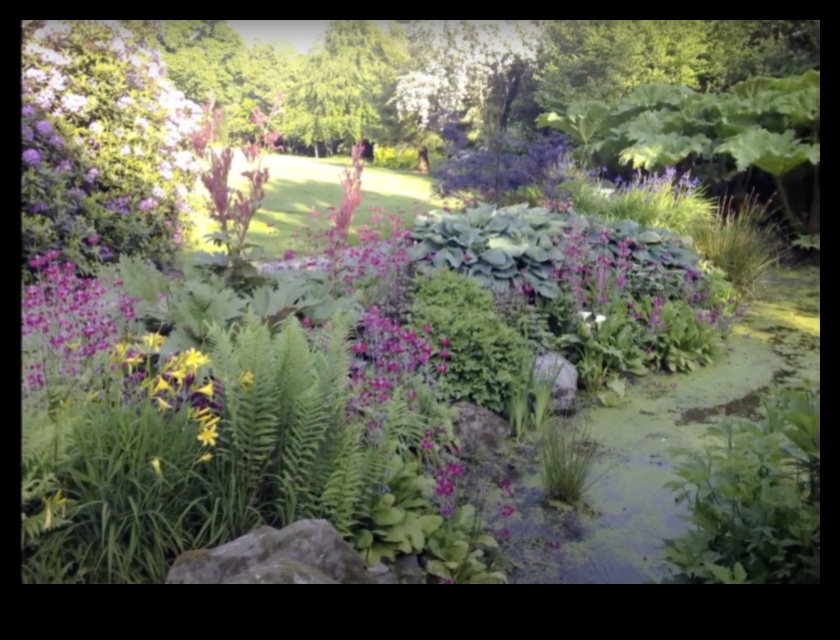 Blossom Brilliance: DIY darbi starojošai dārza paradīzei