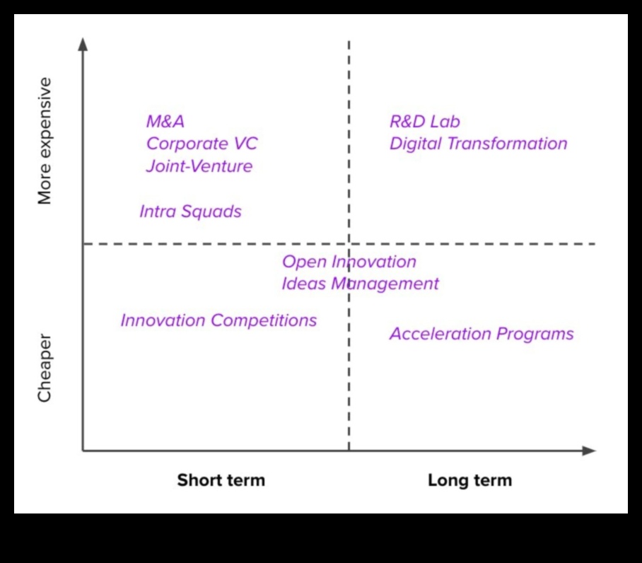 Pāri tradicionālajām robežām: Inovācijas biznesa evolūcijā