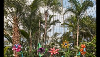 Bronzas botānika: skulpturāls valdzinājums jūsu brīvdabas patvērumā