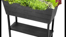 City Bloomers konteineru dārzkopības aizraušanās pilsētvidei 6 City Bloomers: uzplaukums ar konteineru dārzkopības priekiem