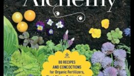 Dārza alķīmija: pārveidojoši padomi satriecošu rezultātu sasniegšanai