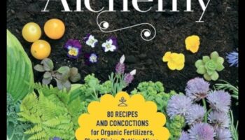 Dārza alķīmija: pārveidojoši padomi satriecošu rezultātu sasniegšanai