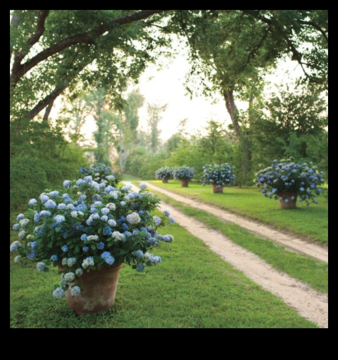 Āra elegance: dārza dizains, kas pārsniedz cerības