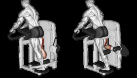 Hamstring Haven: vingrinājumi spēcīgiem un izteiktiem kāju muskuļiem