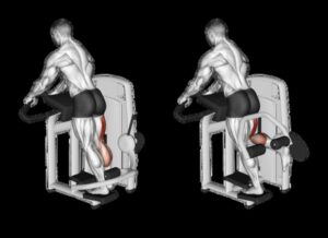 Hamstring Haven: vingrinājumi spēcīgiem un izteiktiem kāju muskuļiem