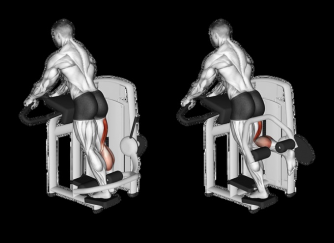 Hamstring Haven: vingrinājumi spēcīgiem un izteiktiem kāju muskuļiem