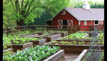 Izturības saknes: lietpratīgas dārza kopšanas spēks