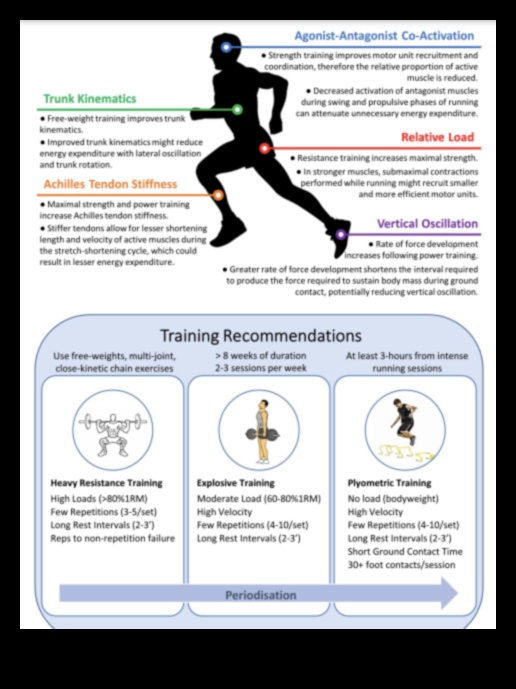 Kā vingrinājumi uzlabo izturību Rokasgrāmata izturības un veiktspējas uzlabošanai 1 Izturības paaugstināšana: kā vingrinājumi palielina izturību un izturību