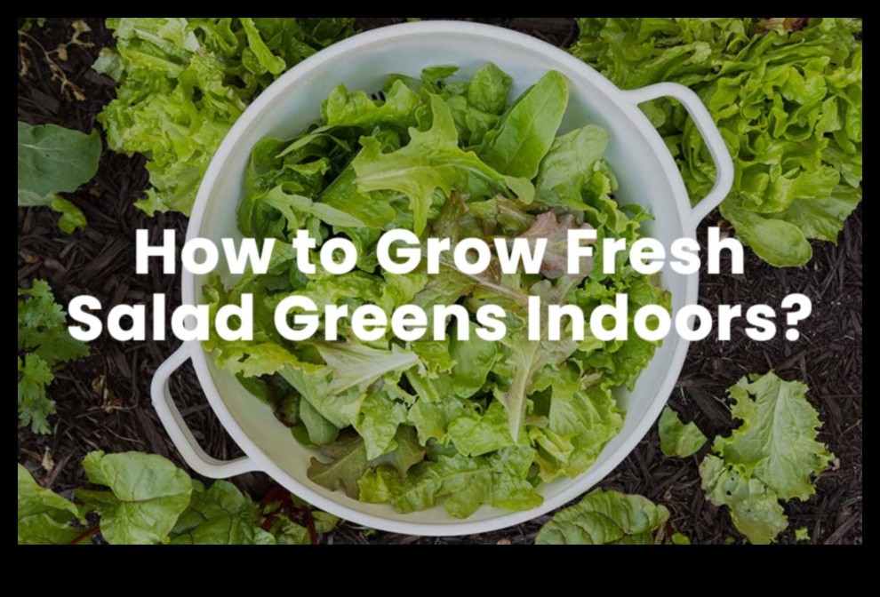 Lapu labums: izpētiet svaigu un košu zaļo maisījumu pasauli