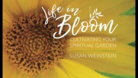 Artistry in Bloom: izveidojiet savu āra meistardarbu