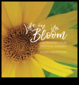 Artistry in Bloom: izveidojiet savu āra meistardarbu