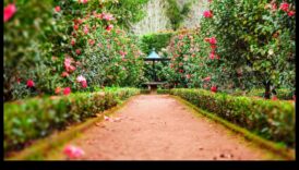 Ziedu simfonija: dabas saskaņošana ar pārdomātu dārza kopšanu